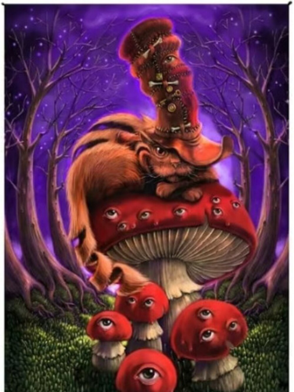 Cheshire Cat Heady Art Print Tapestry ~ 30" x 45" ~ w/Corner Loops ~ Brand New!